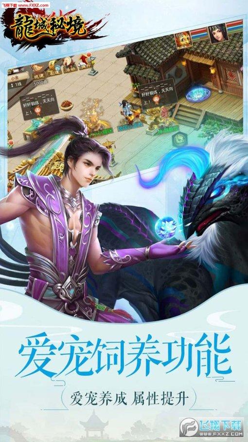 可爱的小考拉