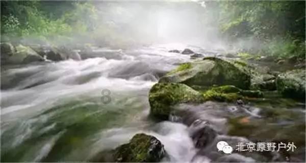 单峰逃脱